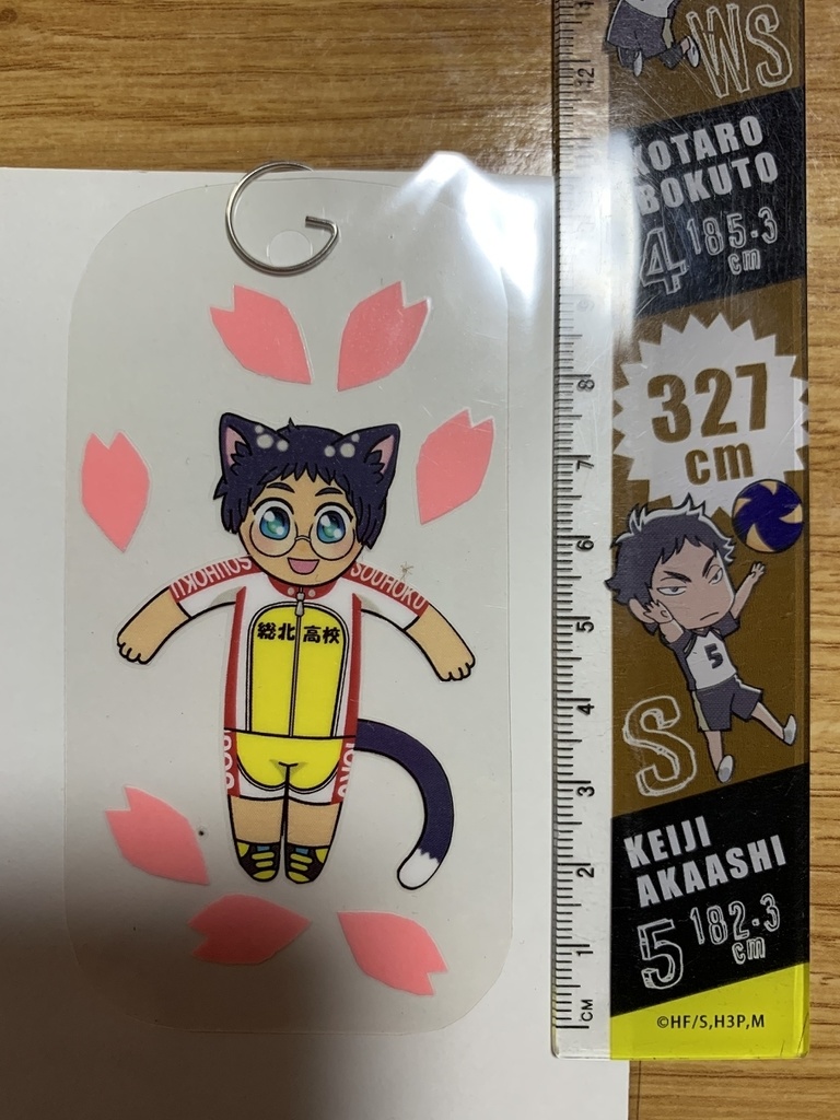 【弱虫ペダル】猫耳・小野田坂道・桜