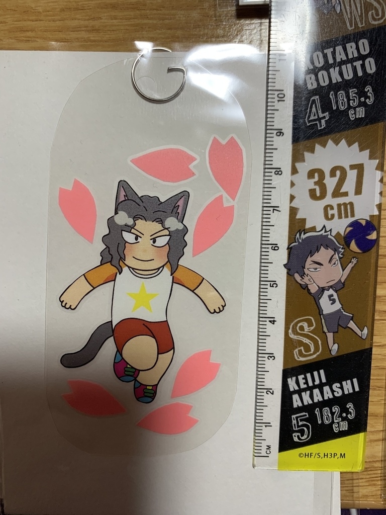 【弱虫ペダル】猫耳・手嶋純太・桜