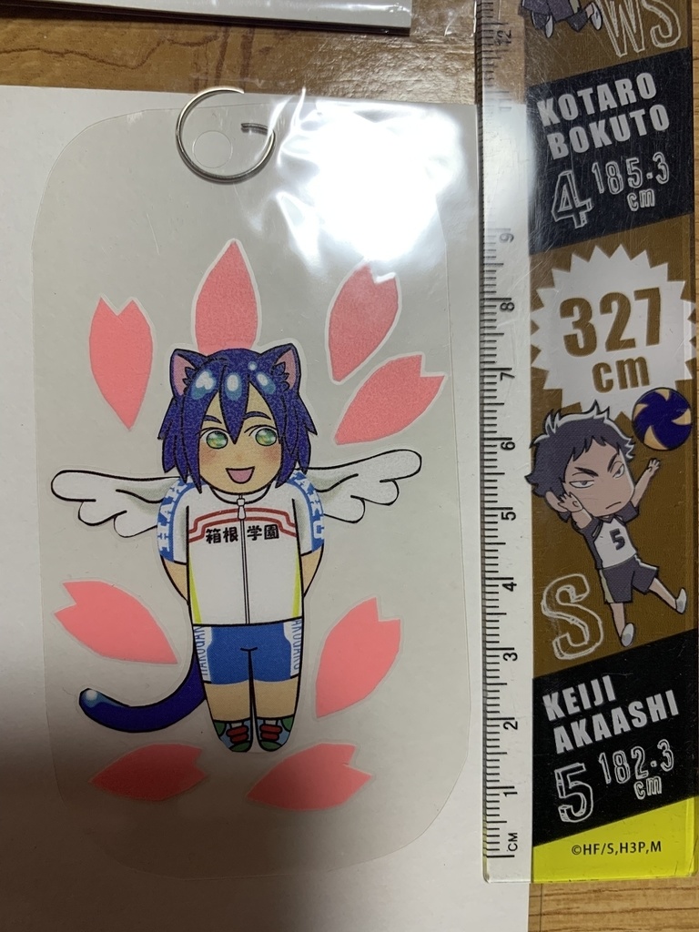 【弱虫ペダル】猫耳・真波山岳・桜