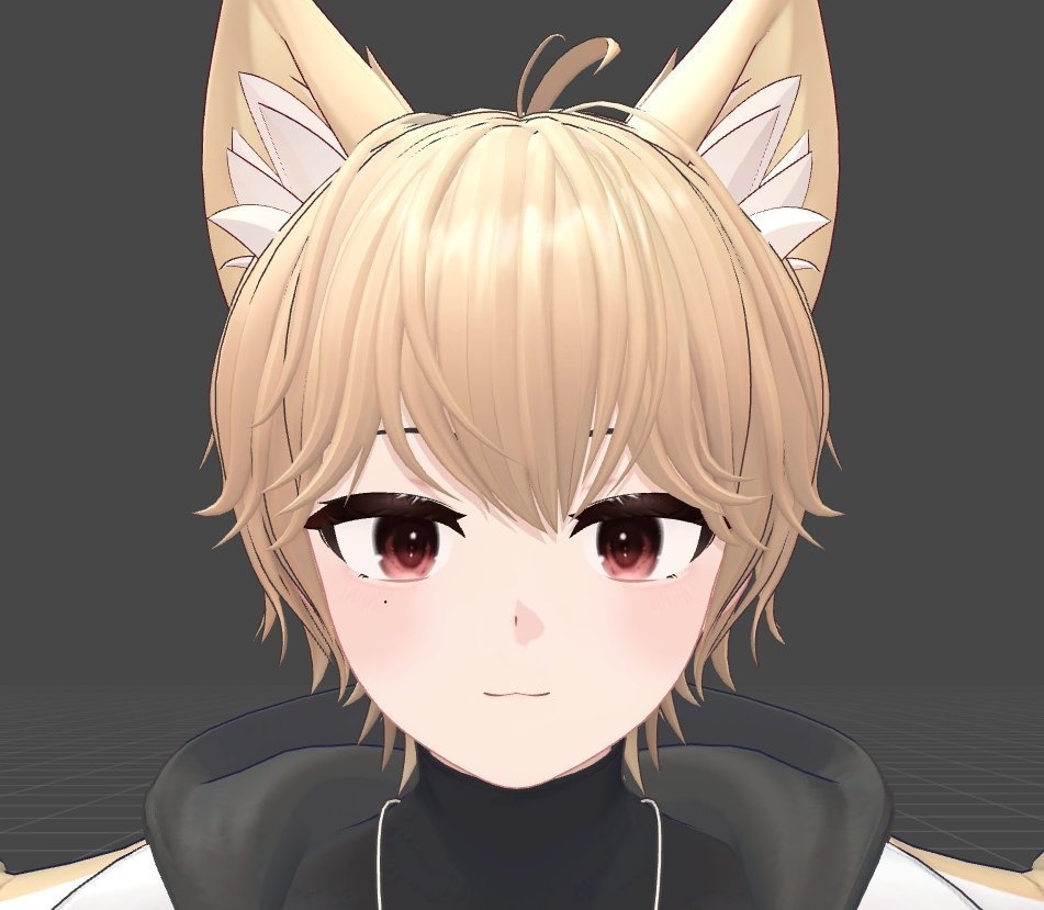 【3アバター対応】PuppyTexture2 - EyeTex+MakeTex