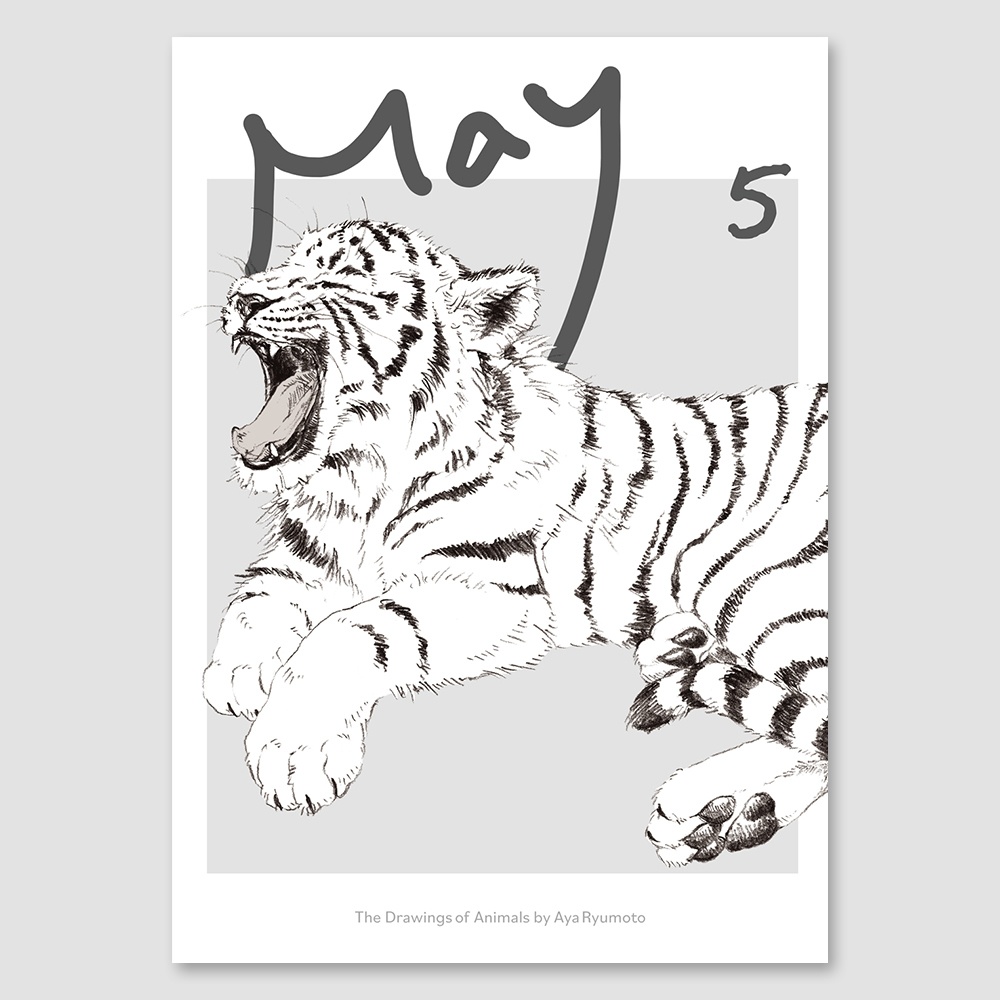 ドローイング集「May」