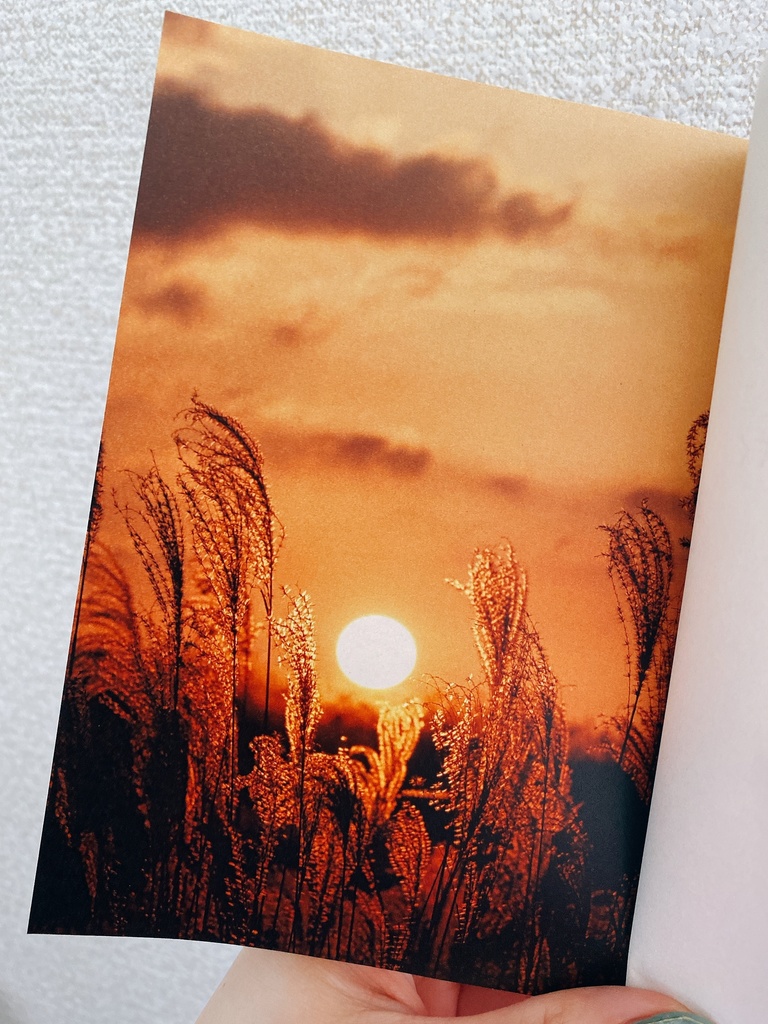 あけぼのに咲く