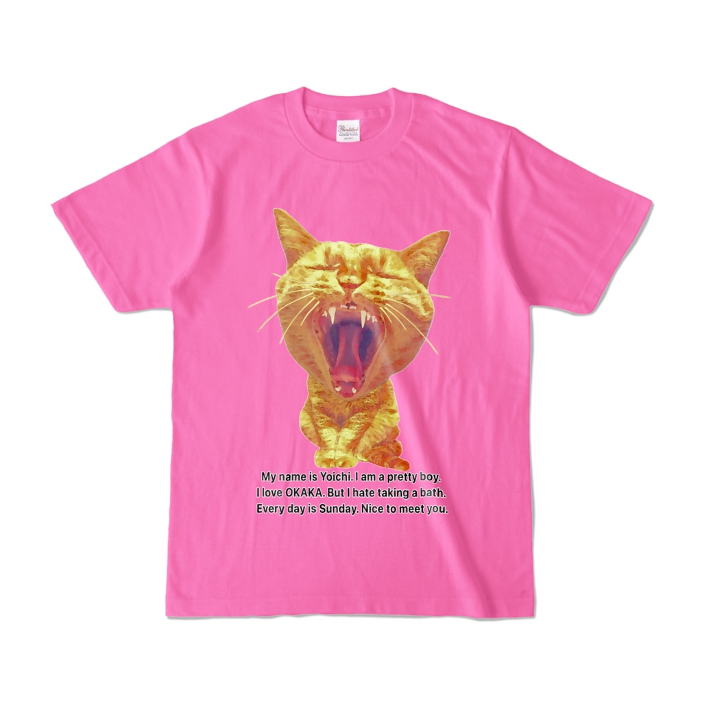 おもしろ猫の陽一　Tシャツ　カラー　オリジナルよういち