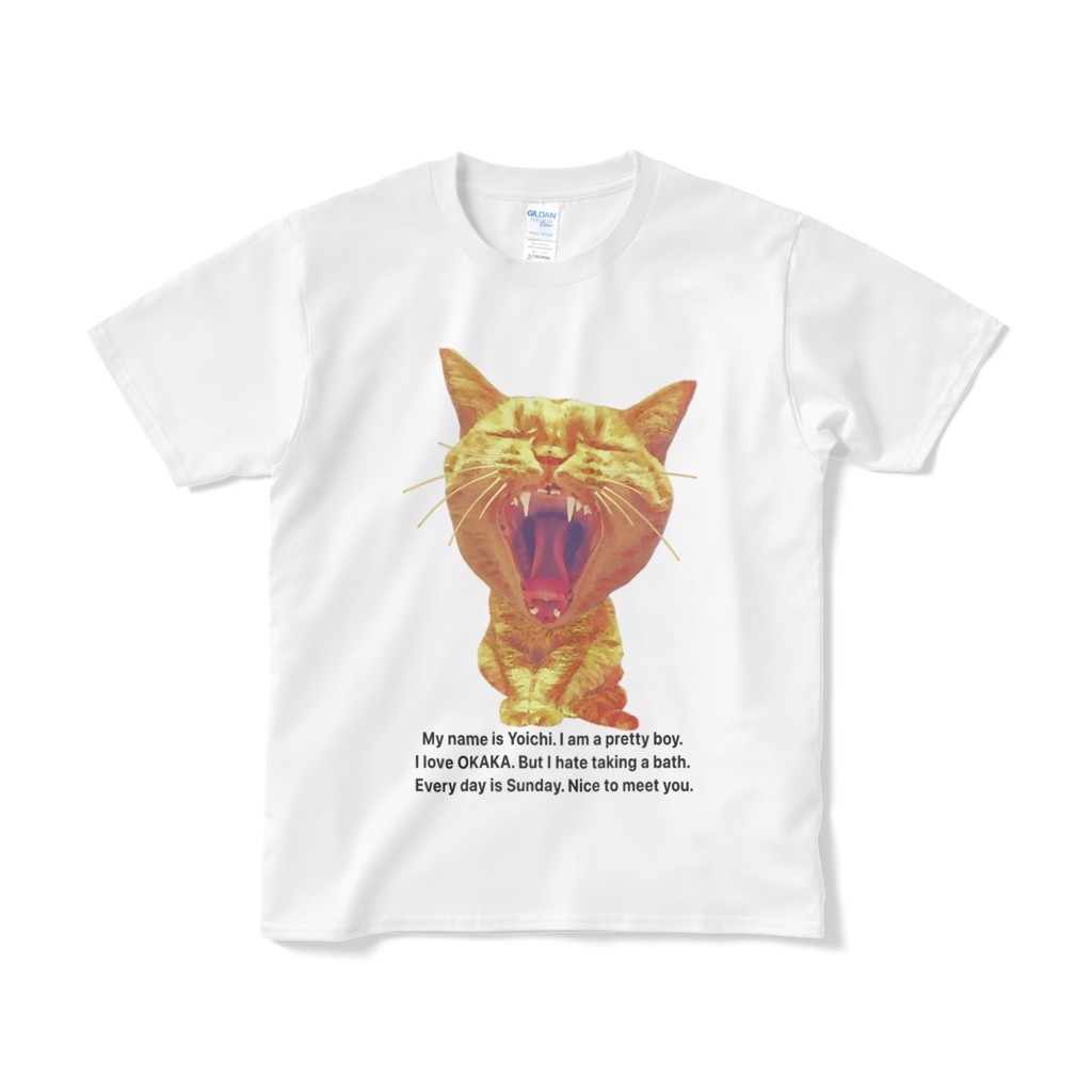 おもしろ猫の陽一 Tシャツ 基本色 オリジナルよういち