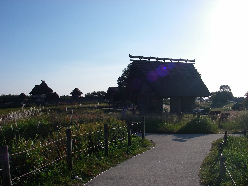 2025年にデジカメで撮った写真