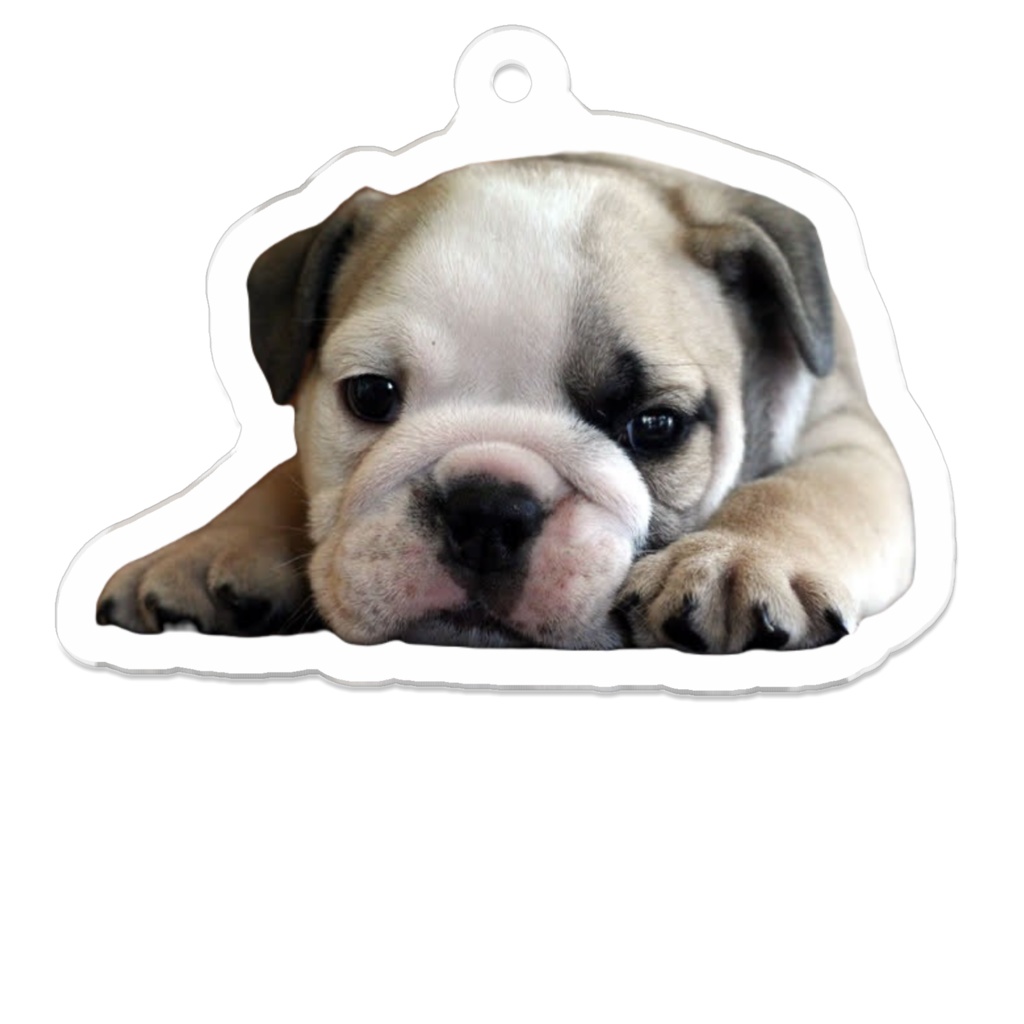 アクリルキーホルダー　ブルドッグ