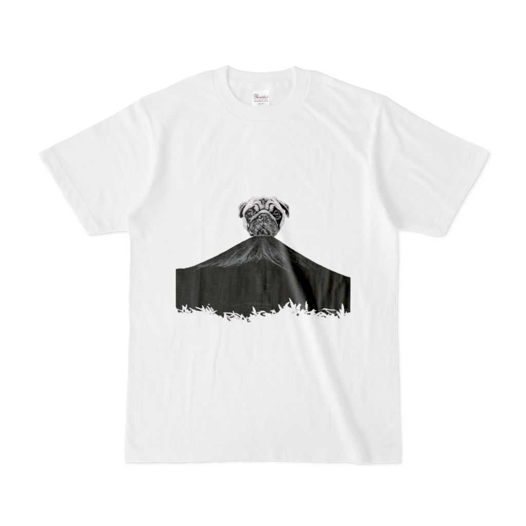 パグ富士山
