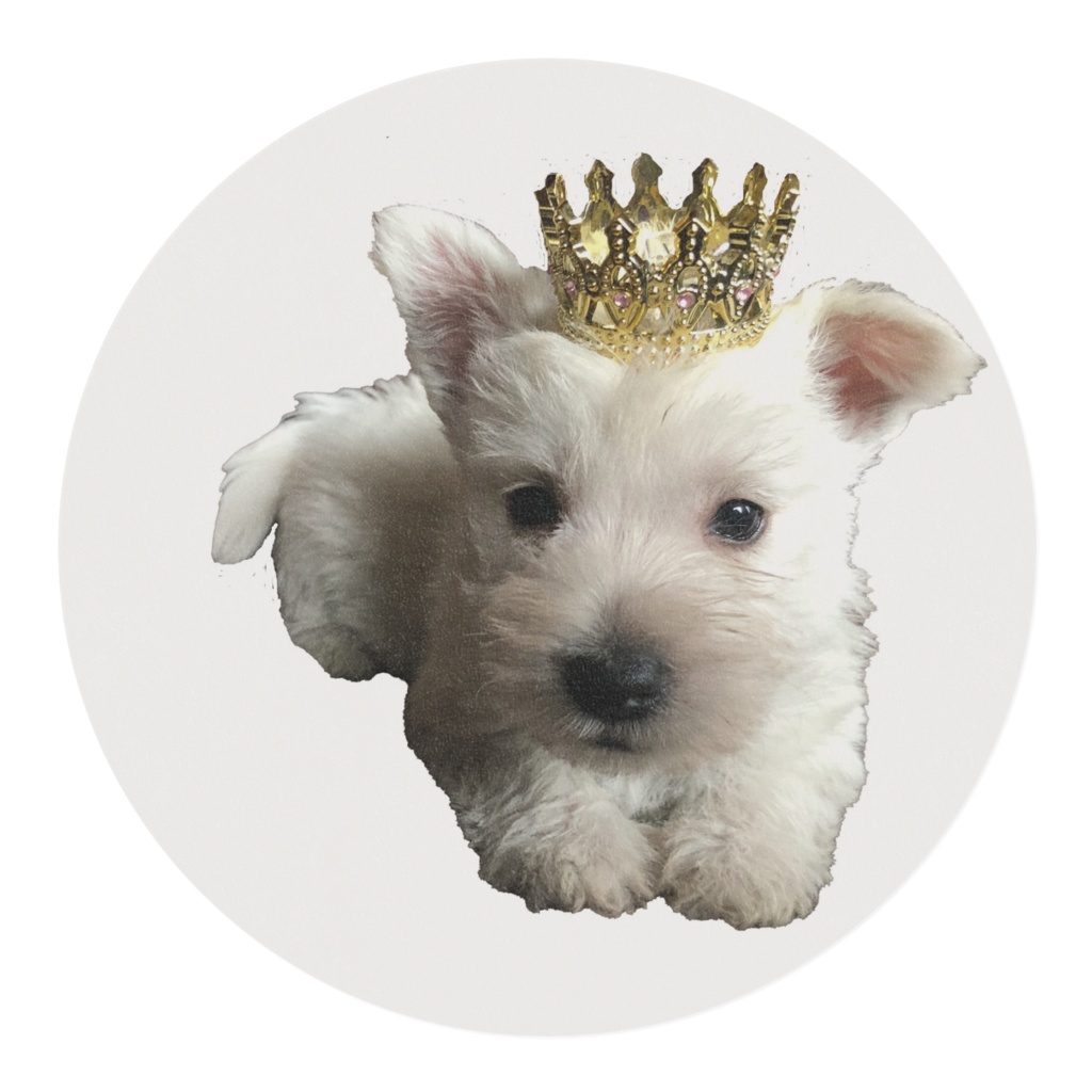 ウエストハイランドホワイトテリアテープ