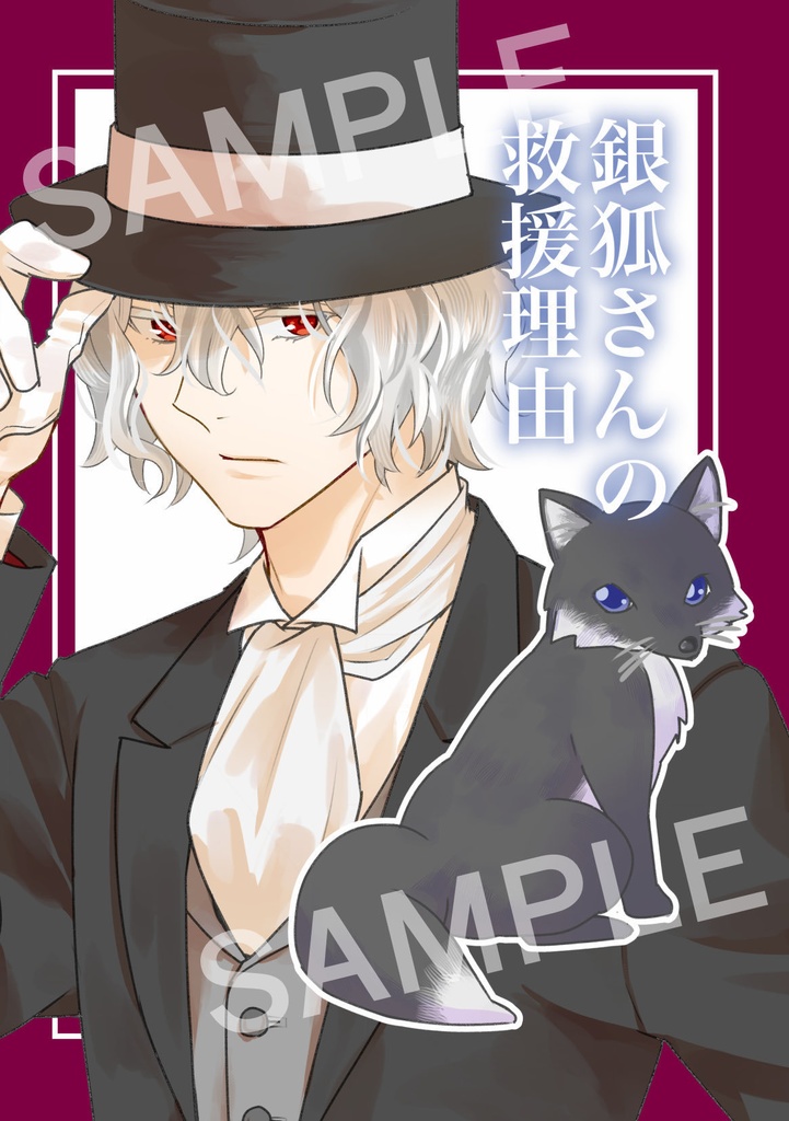 銀狐さんの救援理由