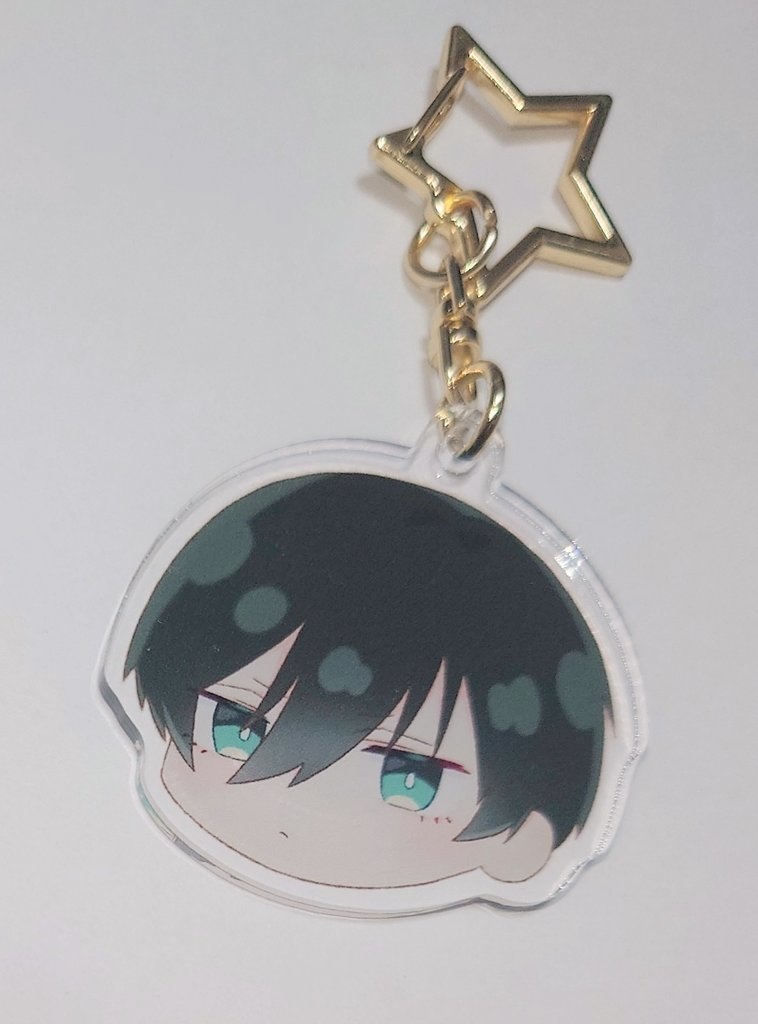 【通常配送】アクキー