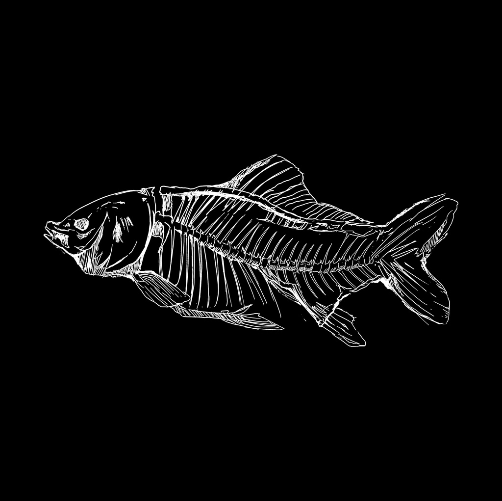 『ゆるだらむきりょくちゃんっ』魚(死) アクリルキーホルダー