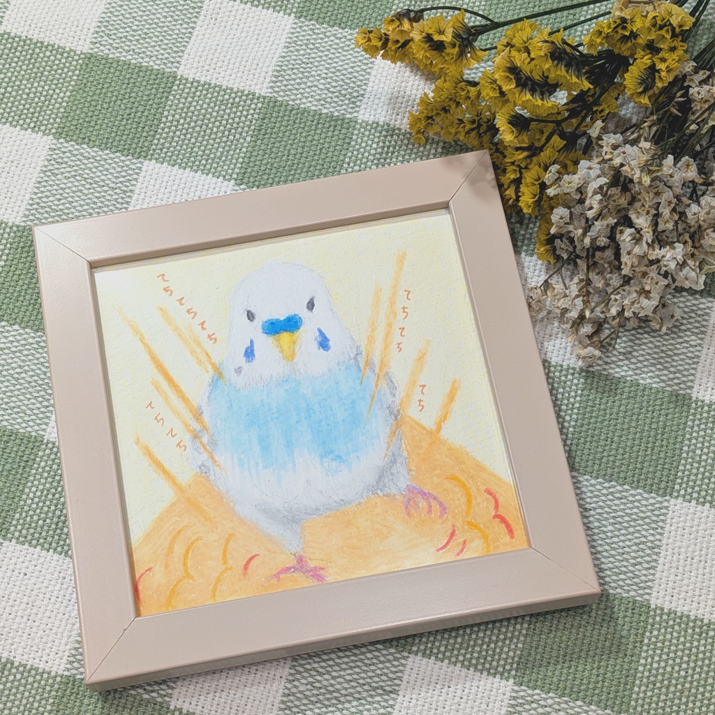 【1点物につき早いもの勝ち！】高速てちてち走りセキセイインコ