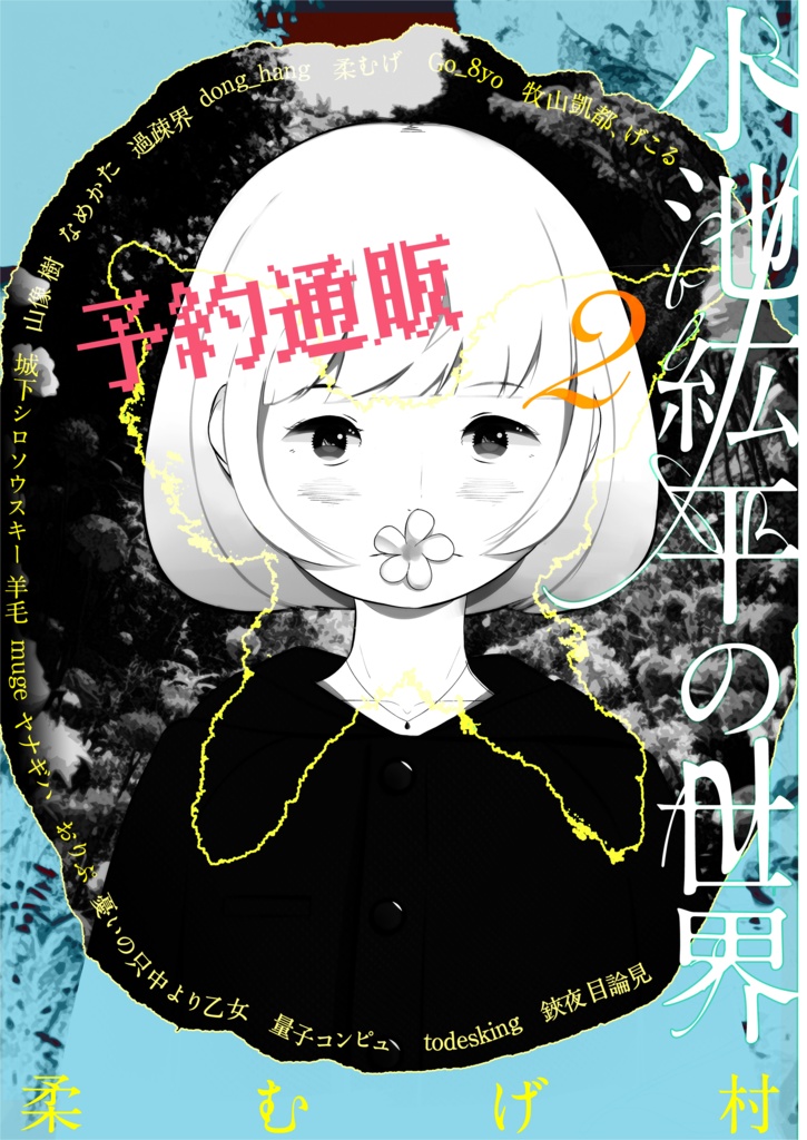 小池紘平の世界2　事前通販