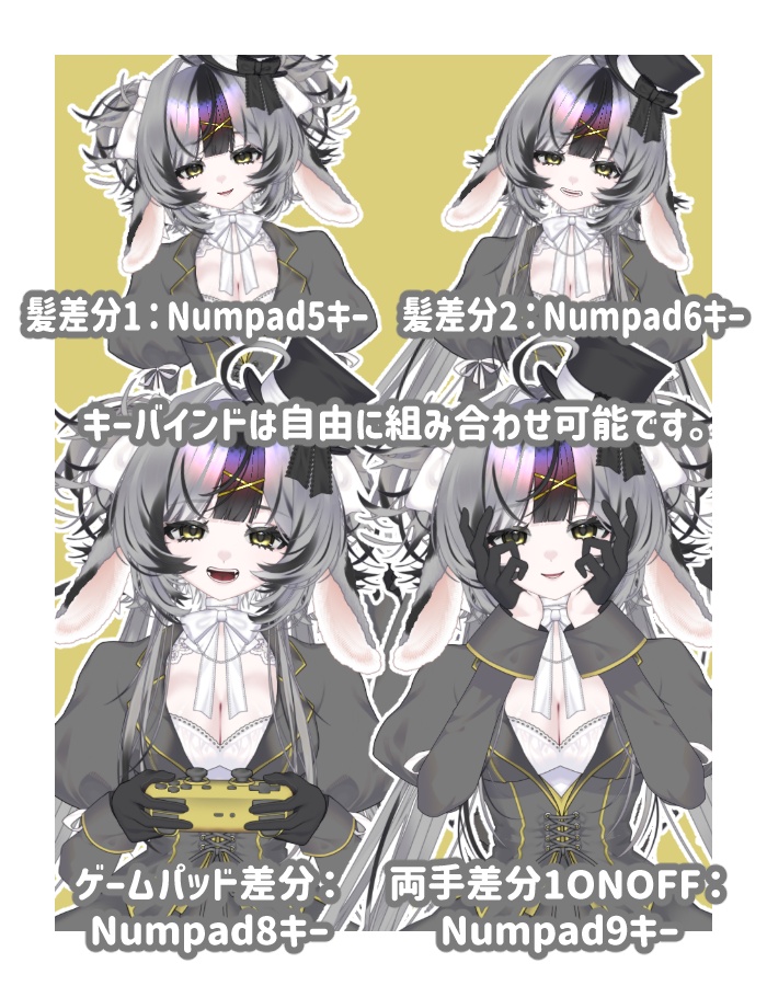 【限定1点】rabbit girl【差分23種】