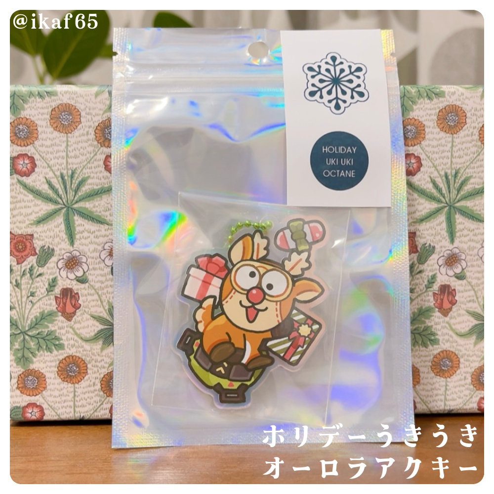 ホリデーうきうきオーロラアクキー