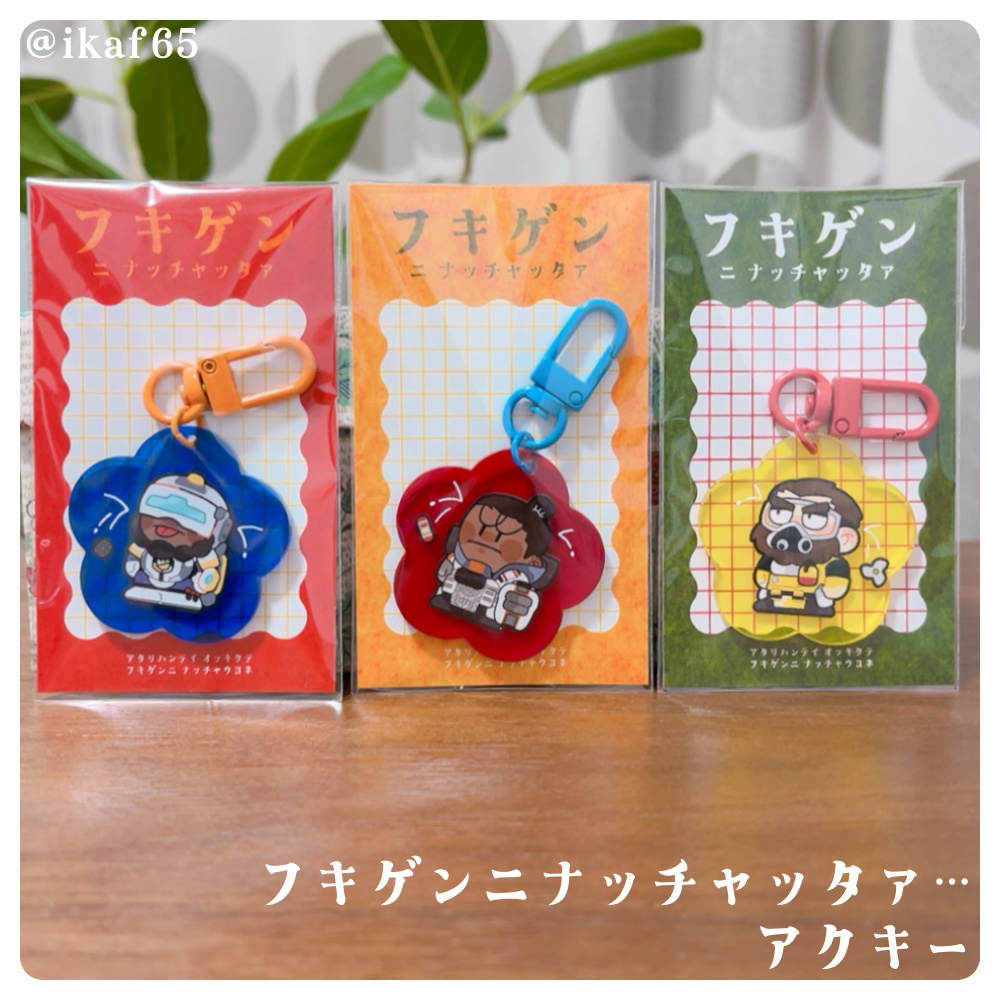 フキゲンニナッチャッタァ…アクキー