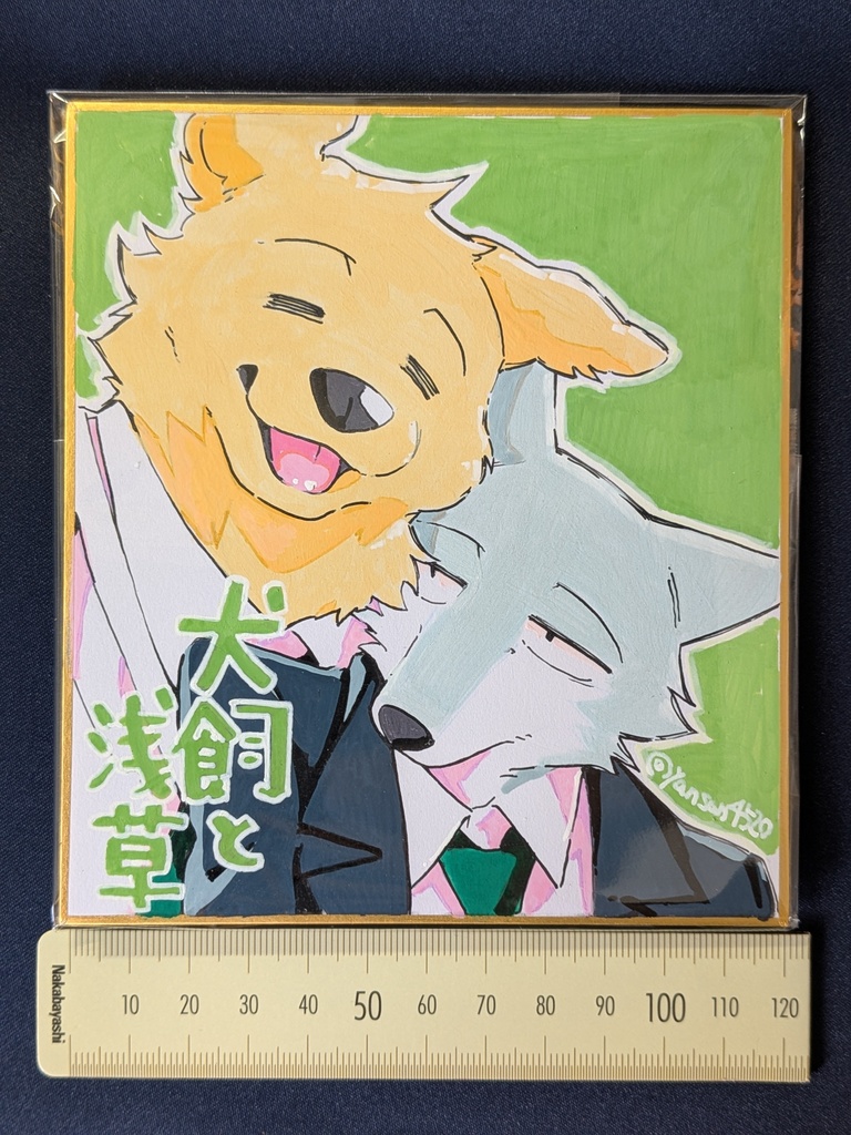 犬飼と浅草　直筆色紙カラー①