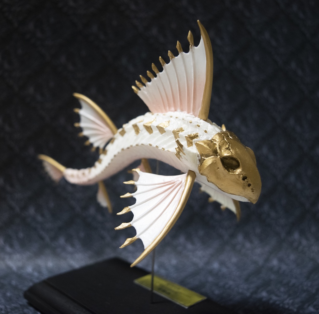 甲胄魚・白帝(完成品)