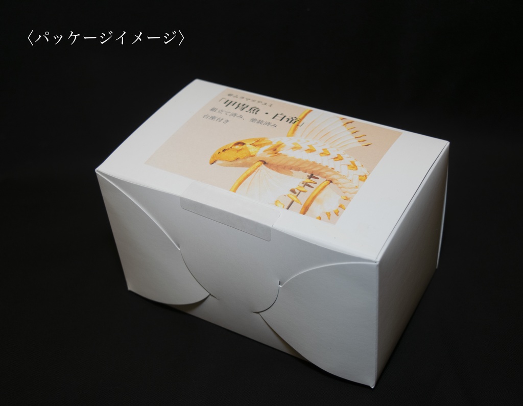 甲胄魚・白帝(完成品)