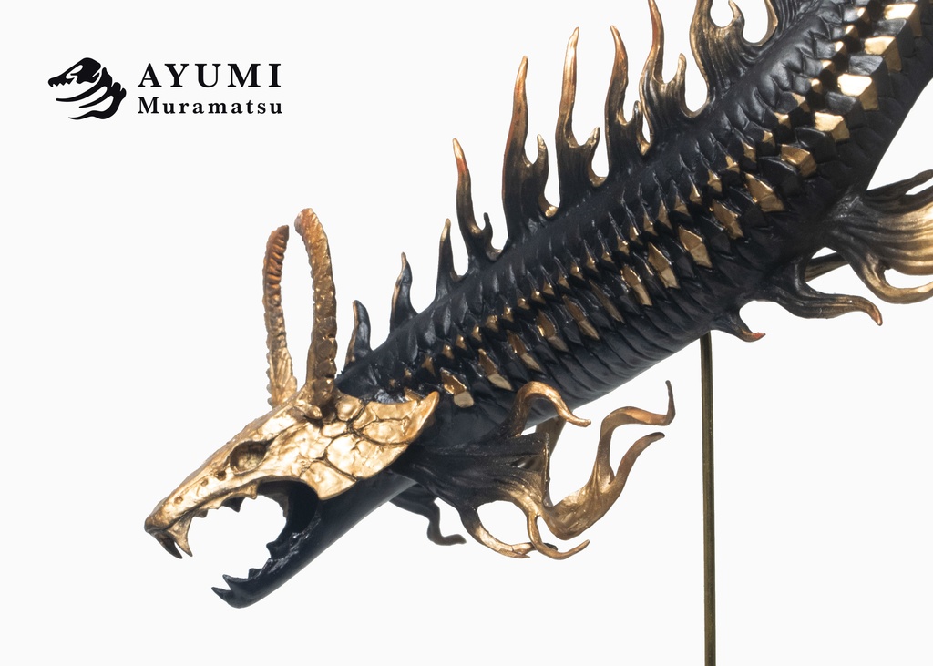 甲冑魚・黒兜(完成品)