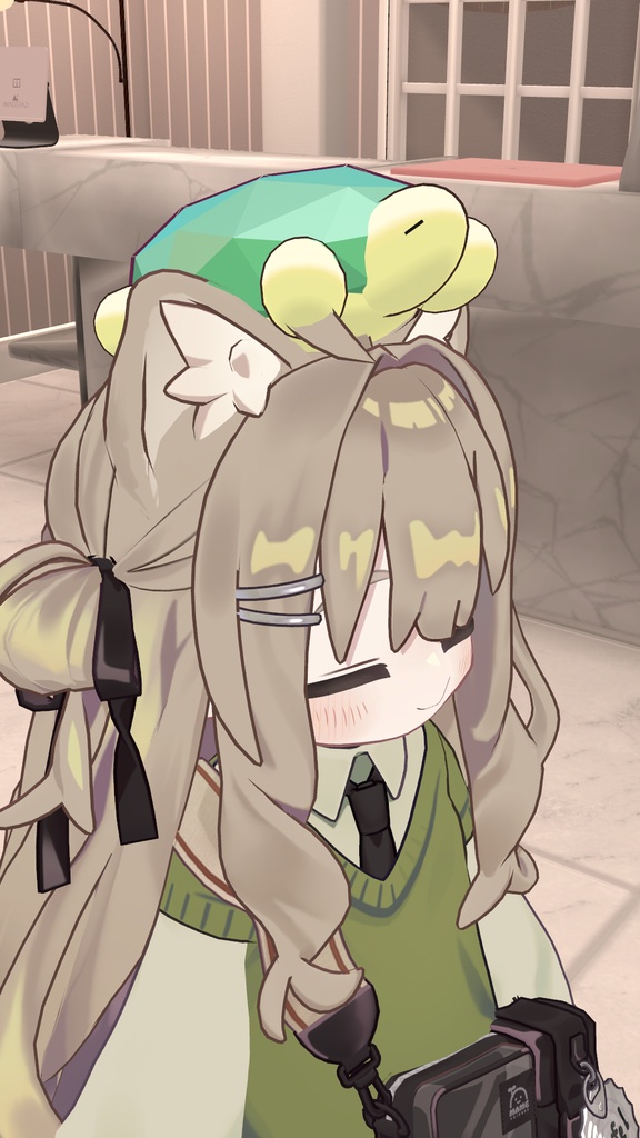 頭に乗せるカメ