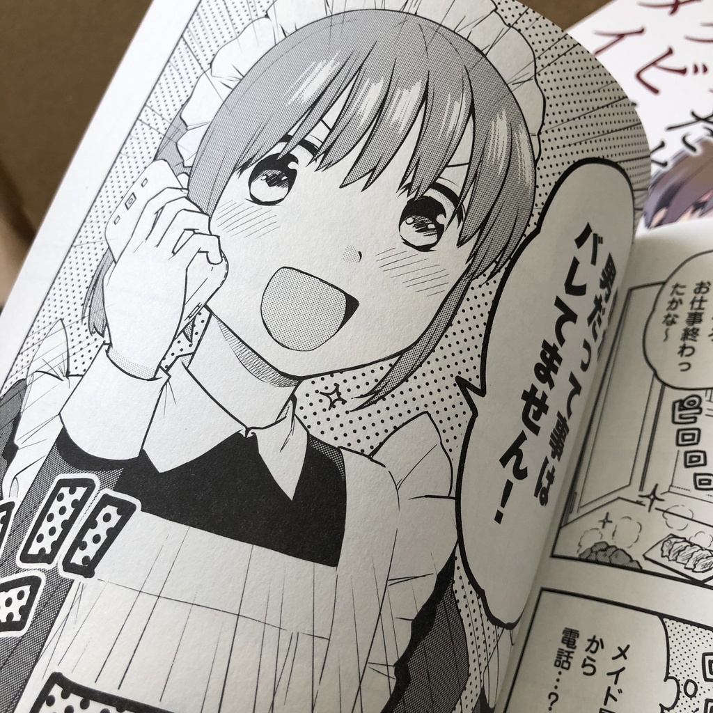 5/31まで限定販売【サイン本】男だとバレたらクビになってしまうメイドの話(紙の本)