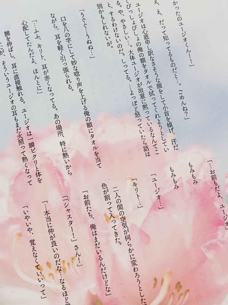 ⑤【ベルクーリ+キリト&ユージオ】ベルクーリさんと!(無配⑥「シャスターさんと!」)