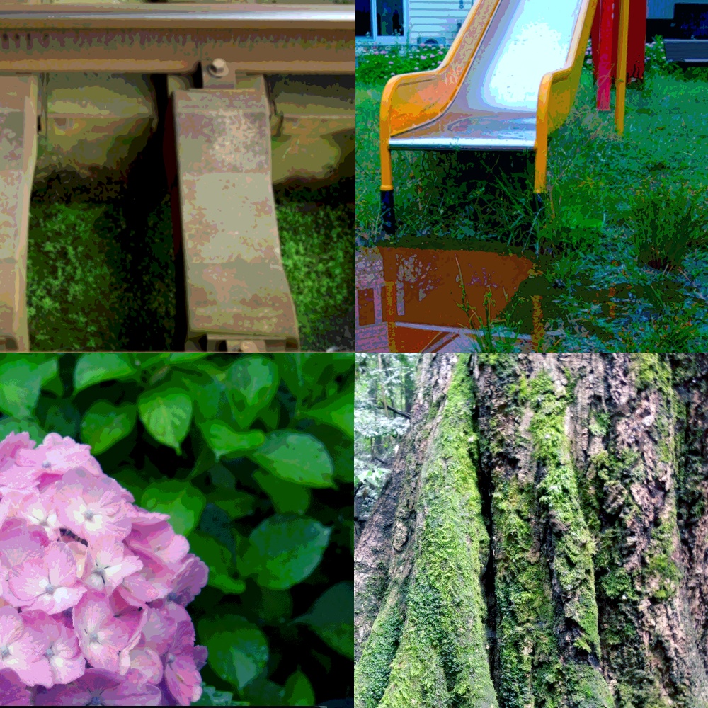 フリー素材「なんかに使えそうな写真素材」