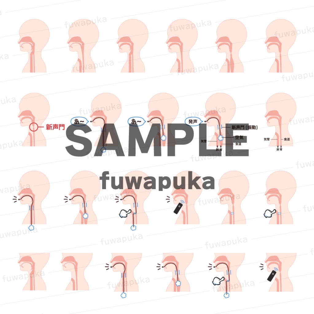 食道発声のイラスト素材_ベクター