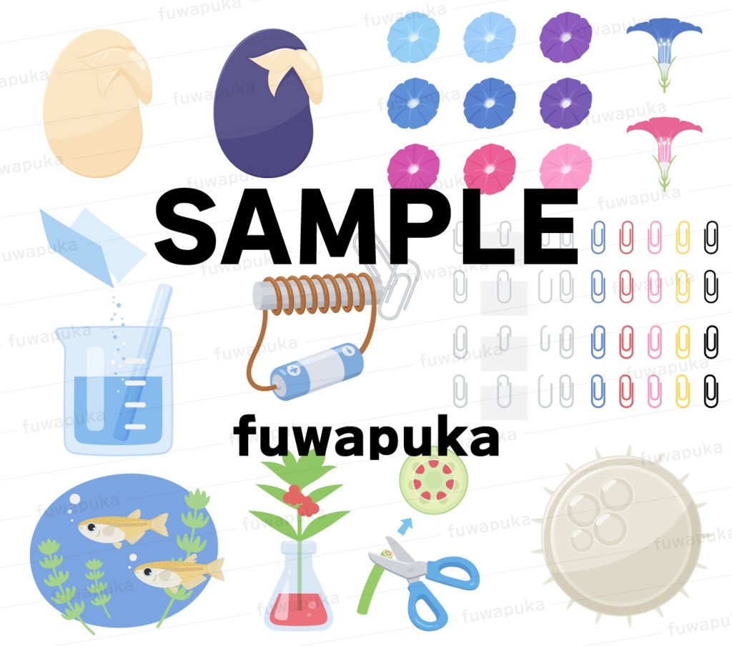 小学校5年生と6年生の理科のイラスト素材_ベクター