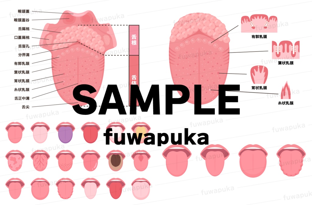 舌のイラスト素材_ベクター