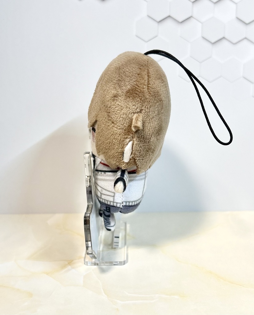 【非公式】ダイカガミに乗れる!手乗りアクリルジオラマ