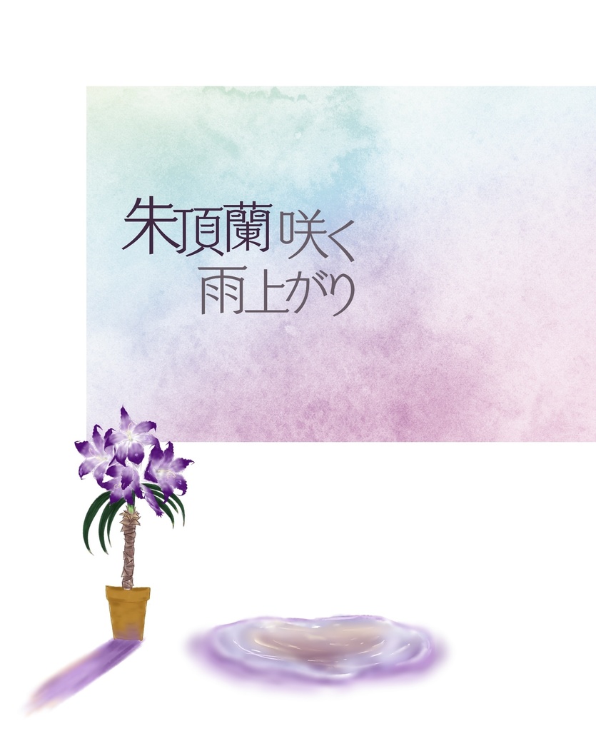 朱頂蘭咲く雨上がり