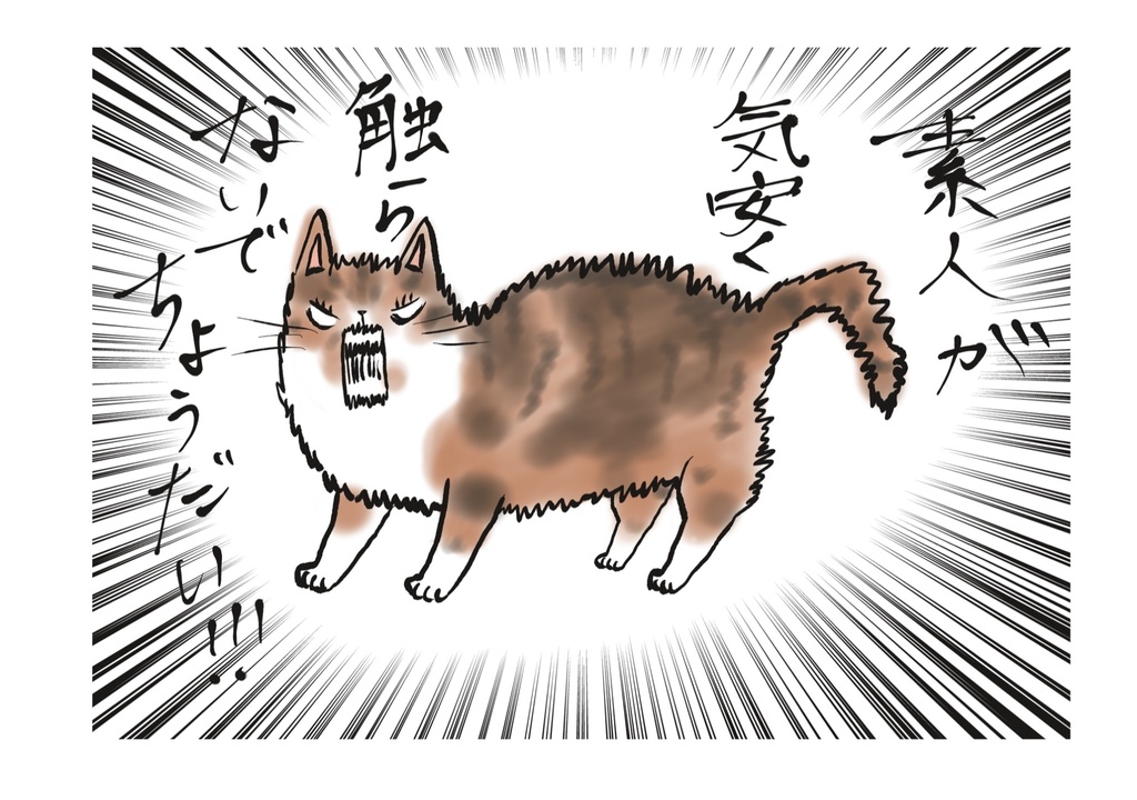 タカビー三毛猫ちゃん Tシャツ