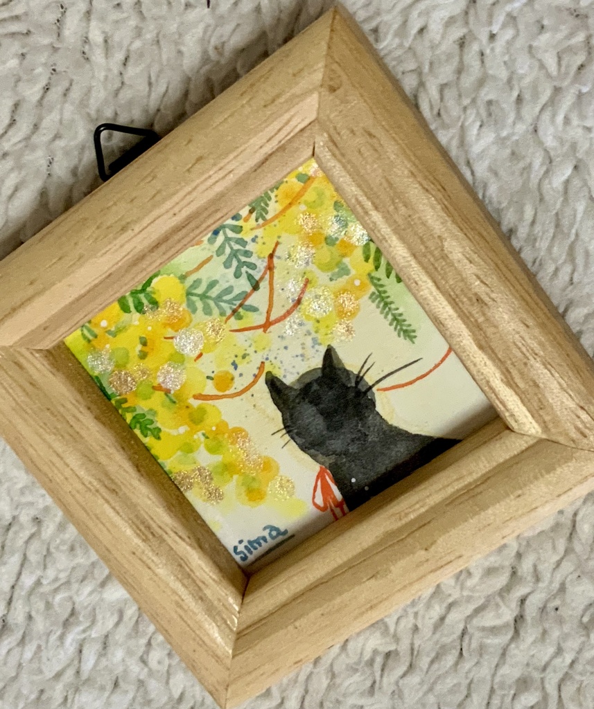 ミモザ『黒猫』