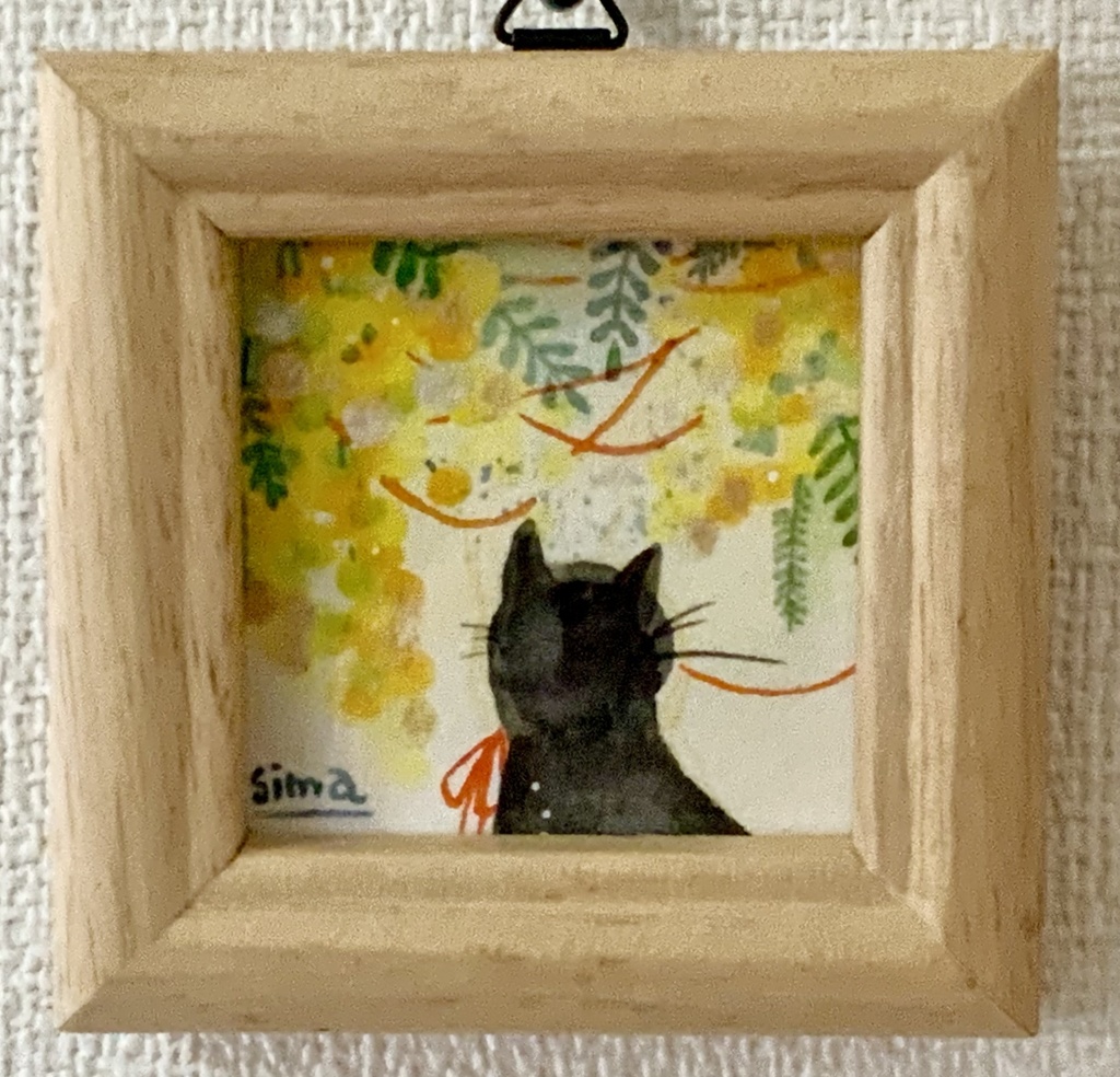 ミモザ『黒猫』