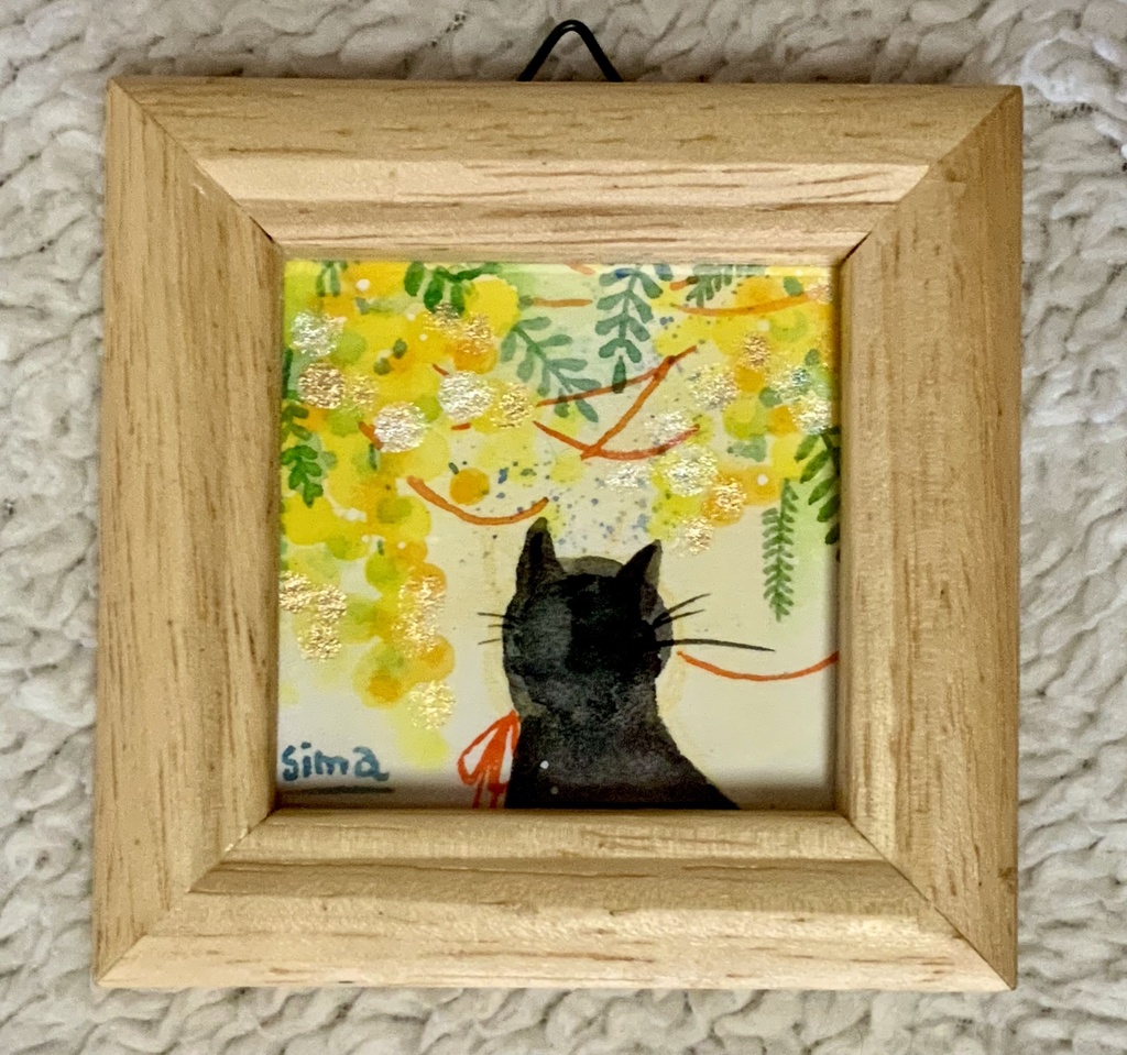 ミモザ『黒猫』