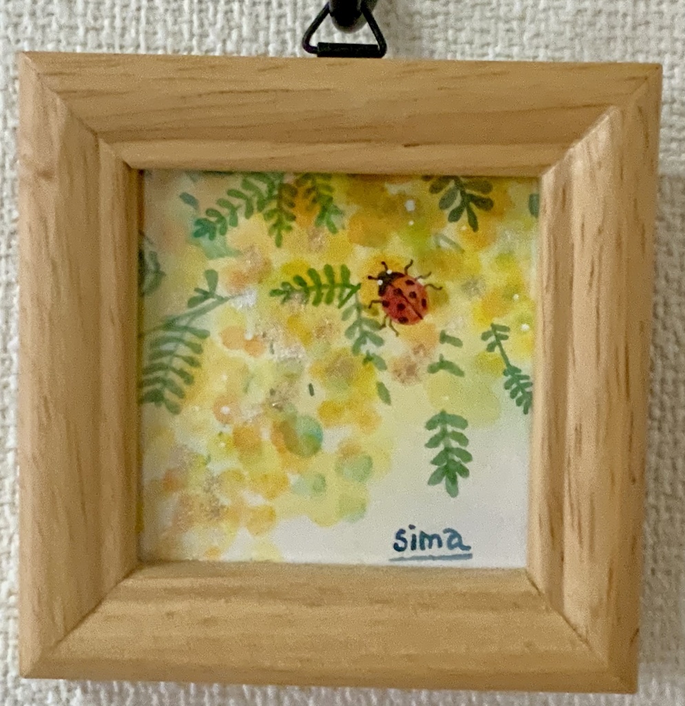 ミモザ『てんとう虫』