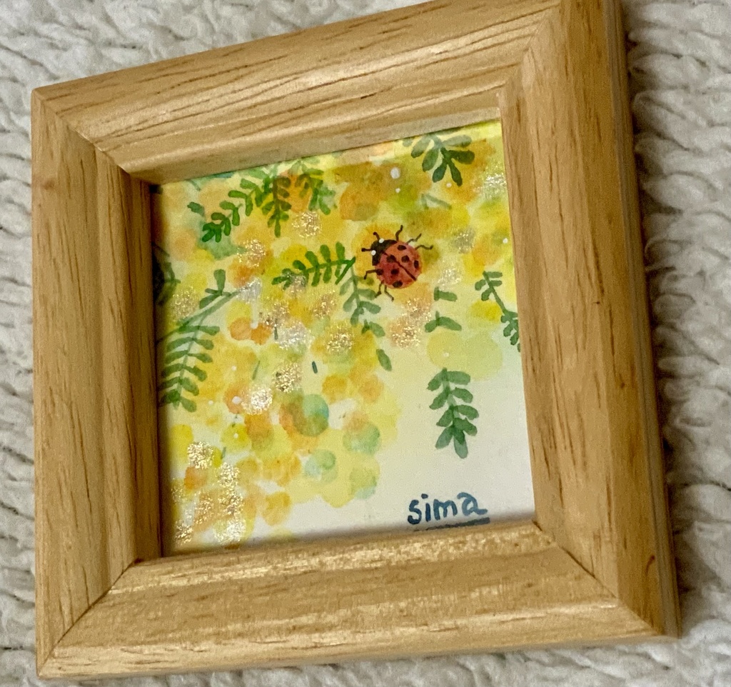 ミモザ『てんとう虫』