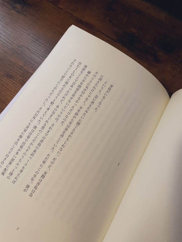 小説:美貌の青空