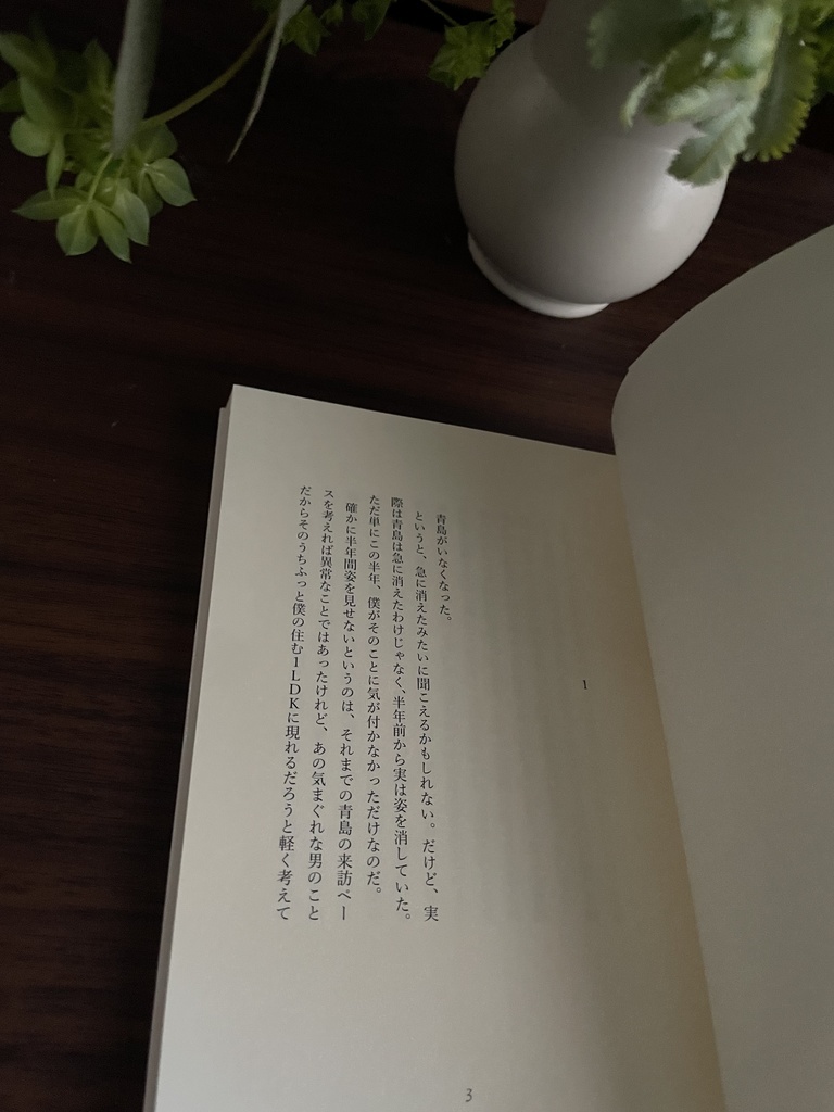 小説:美貌の青空