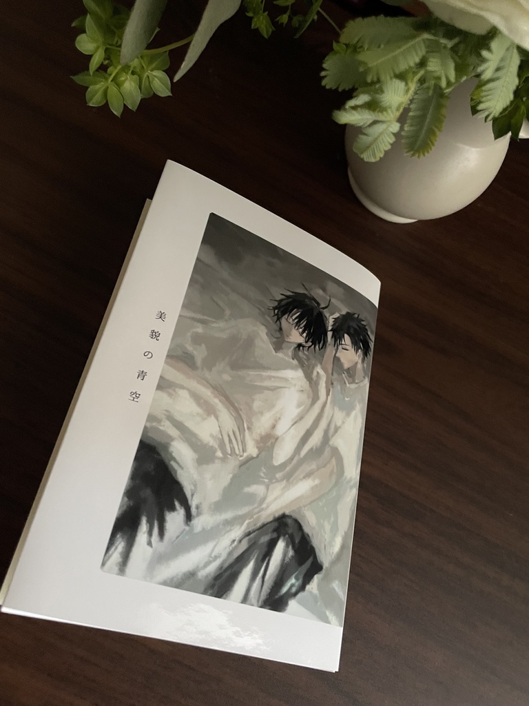 小説:美貌の青空