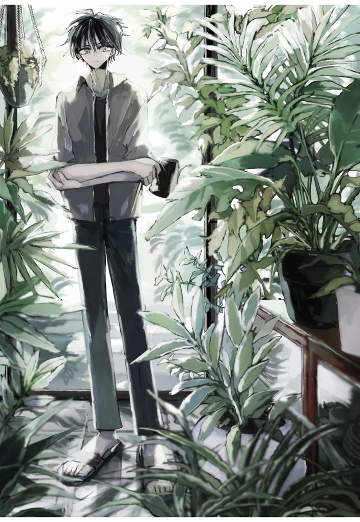 ポストカード:遠方からの手紙