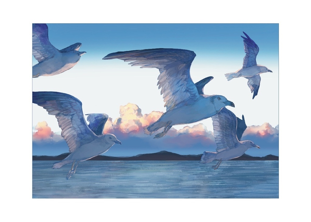 鳥わたる青