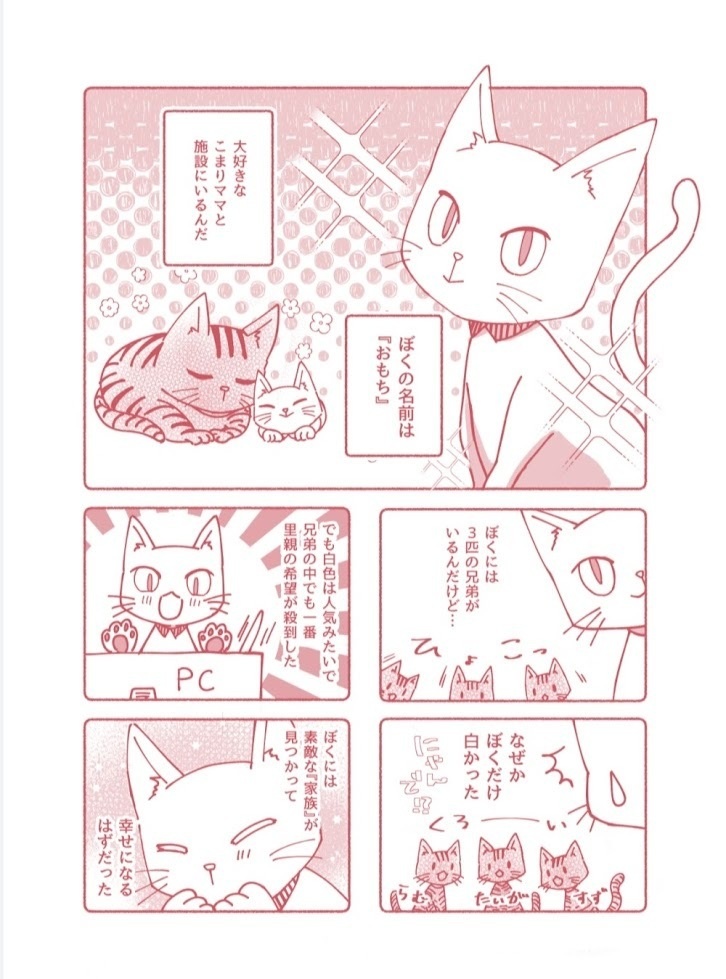 【ぼくがこの世に産まれた日】