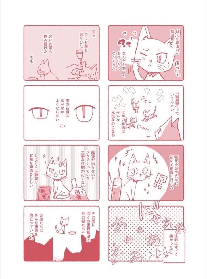 【ぼくがこの世に産まれた日】
