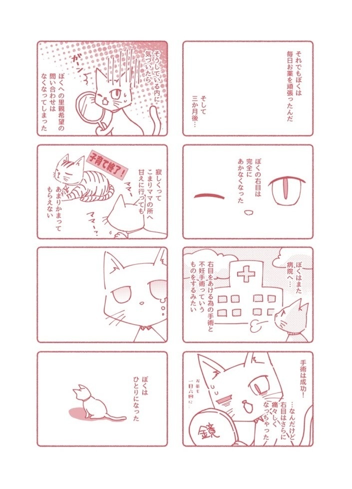【ぼくがこの世に産まれた日】