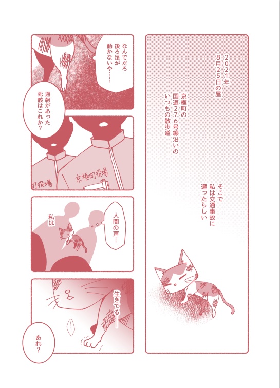人の手って、温かい