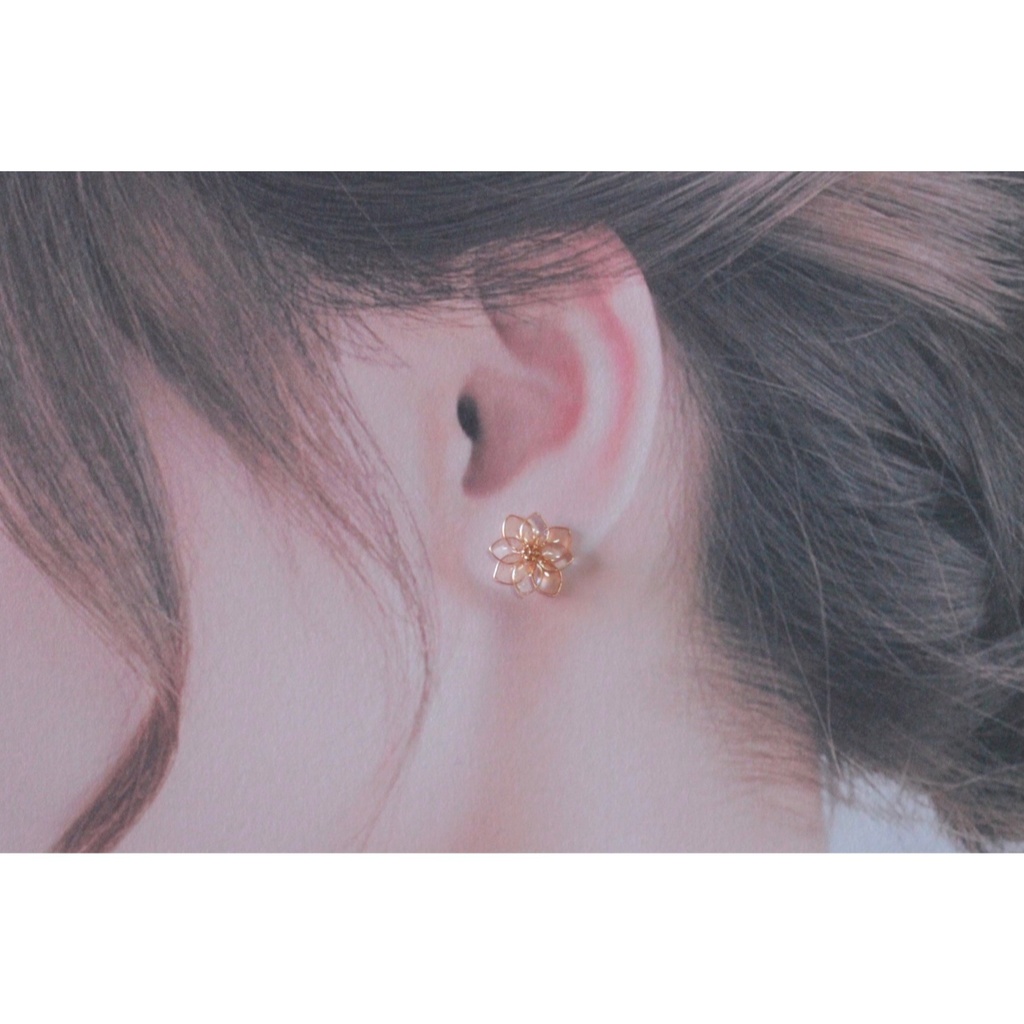 染まりゆく花 髭切