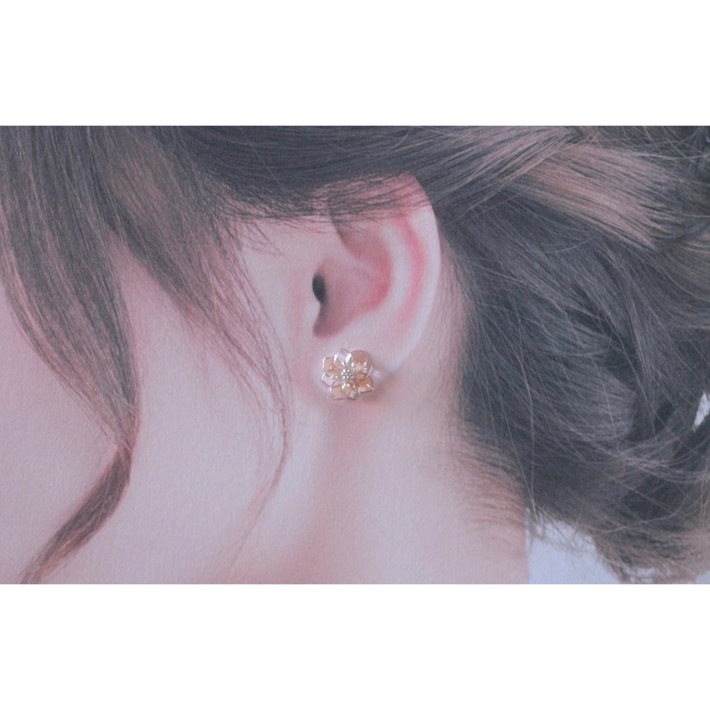 染まりゆく花 髭切